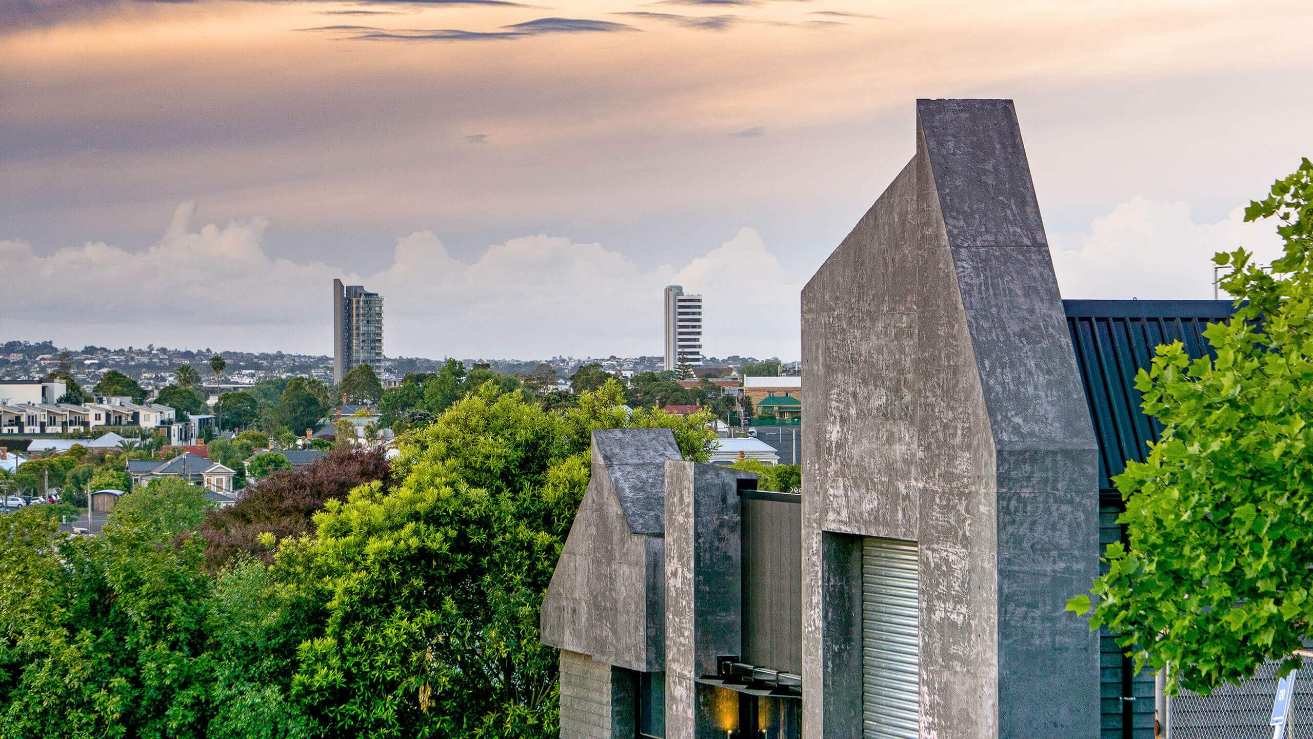 Charcoal coloured concrete walls contrast beautifully with oak trees in Grey Lynn Auckland..