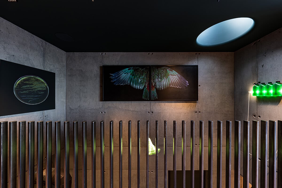 PeterFell-Award-winning-homes-Cliff_Road_House-01